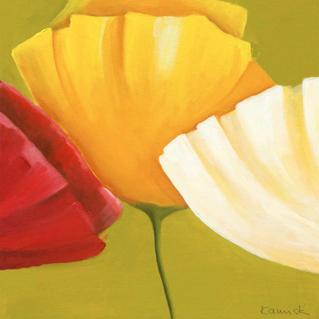 Kaminski, Sonja - Summer Trilogy 3