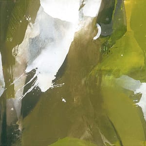 Almbauer, Gerhard - Zande