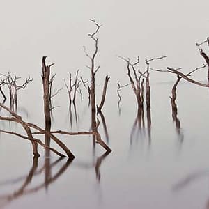 Böhnke, Eddi - Lake Kariba