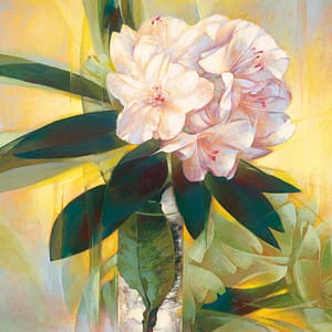 Duda-Remi, Janusz - Rhododendron