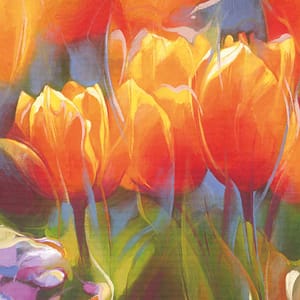 Duda-Remi, Janusz - Orange Tulpen 2