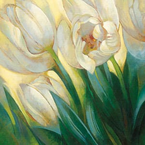 Duda-Remi, Janusz - Weisse Tulpen 1