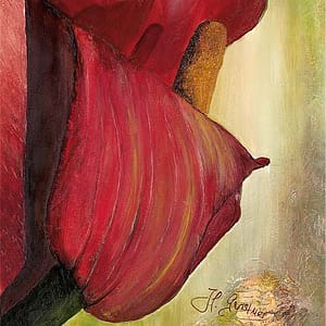 Gerstner, Heidi - Rote Calla rechts