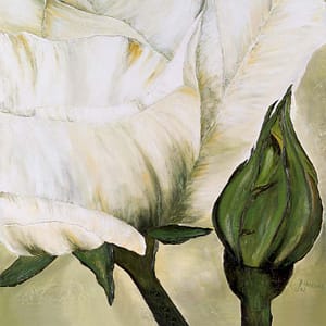 Gerstner, Heidi - Weiße Rose mit Knospe