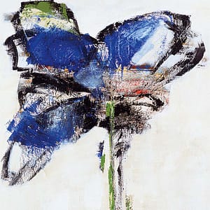 Goebel, Sylvia - Kachol