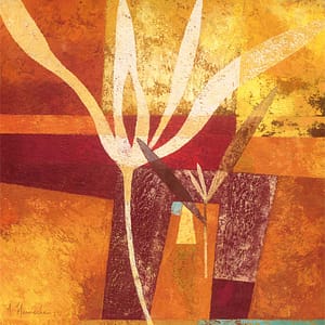 Heinecke, Astrid - Rojo India