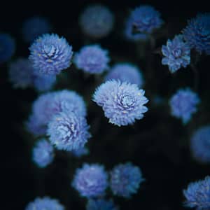 Hesse, Janet - Aus der Tiefe, blau