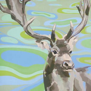 LÃ¼ers, Daniela - Damhirsch 2