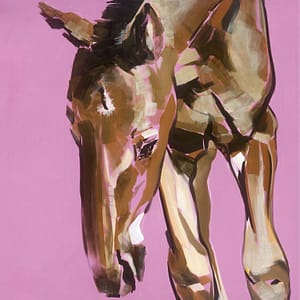 LÃ¼ers, Daniela - Fohlen