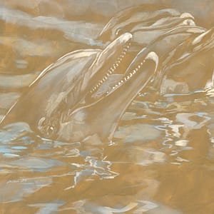 LÃ¼ers, Daniela - Delfine