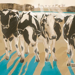 LÃ¼ers, Daniela - Kuehe im Gegenlicht