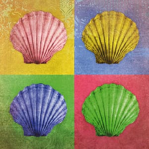 Minai, Shahram - Entfaltung 2