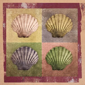 Minai, Shahram - Entfaltung 4