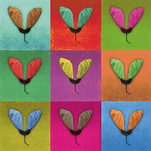 Minai, Shahram - Entfaltung 6