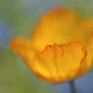 Rateike, Michael - Empfindsamer Augenblick