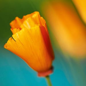 Rateike, Michael - Augenweide