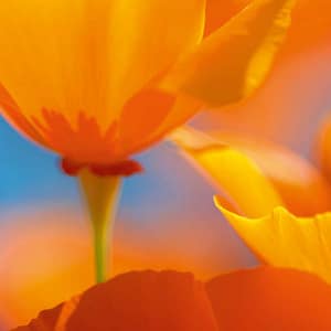 Rateike, Michael - Der Sommer bleibt als Erinnerung