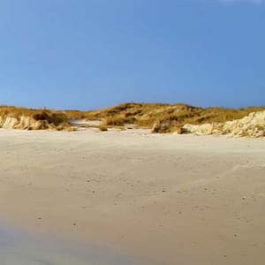 Schroeter, Udo - Spuelsaum