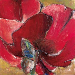 Stahl, Petra - Weiter südlich 1 (roter Mohn)