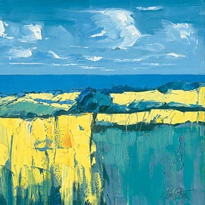Tegtmeier, Claus - Rapsfelder an der Ostsee