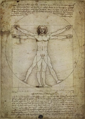 DA VINCI, LEONARDO - Scheme Delle Proporzioni