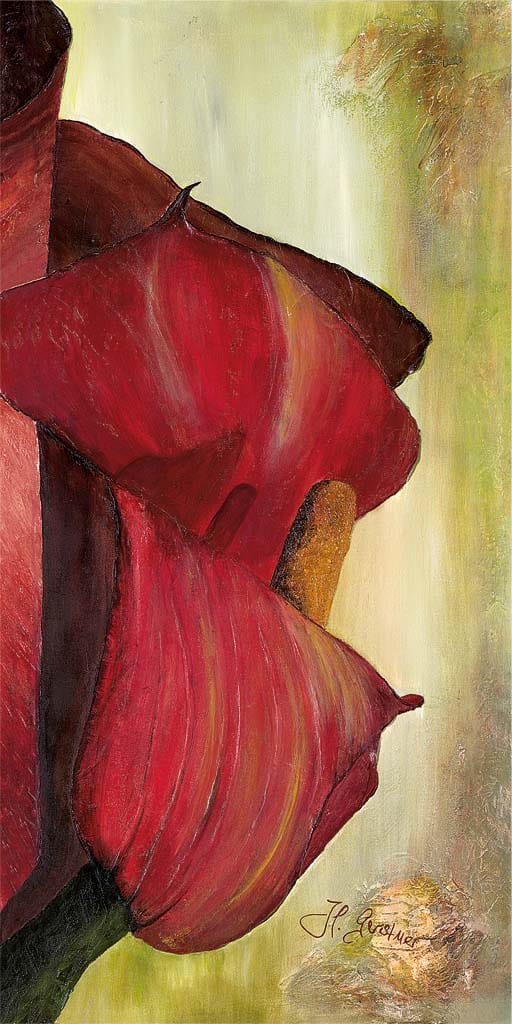 Gerstner, Heidi - Rote Calla rechts