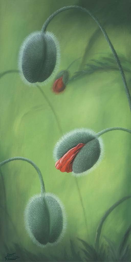 Krenzer, Angela - Erwachen 3 1 Krenzer, Angela - Erwachen 3