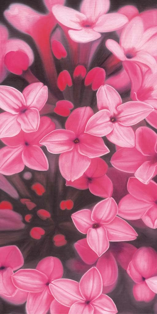 Krenzer, Angela - Daphne