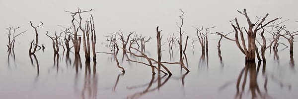 Böhnke, Eddi - Lake Kariba