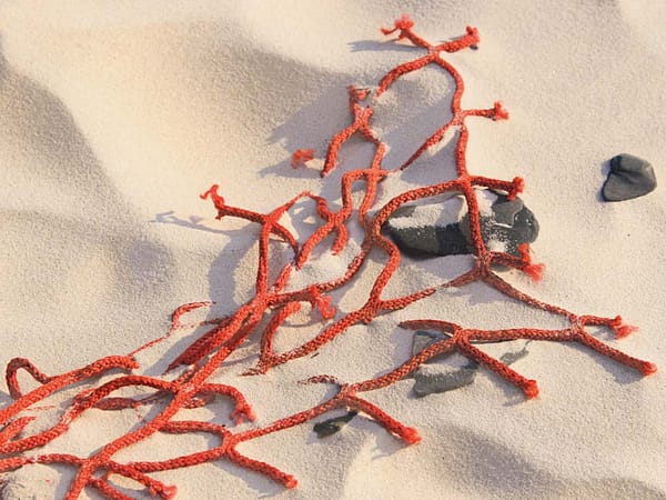 Schroeter, Udo - Netz Im Sandstrand