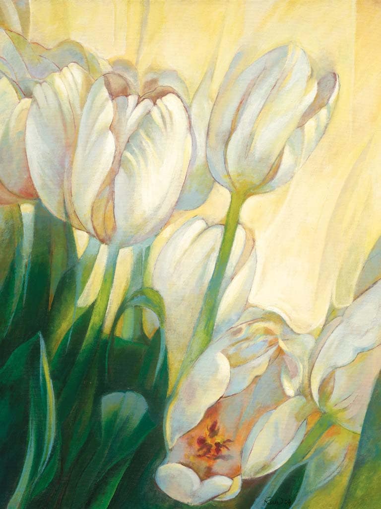 Duda-Remi, Janusz - Weisse Tulpen 2